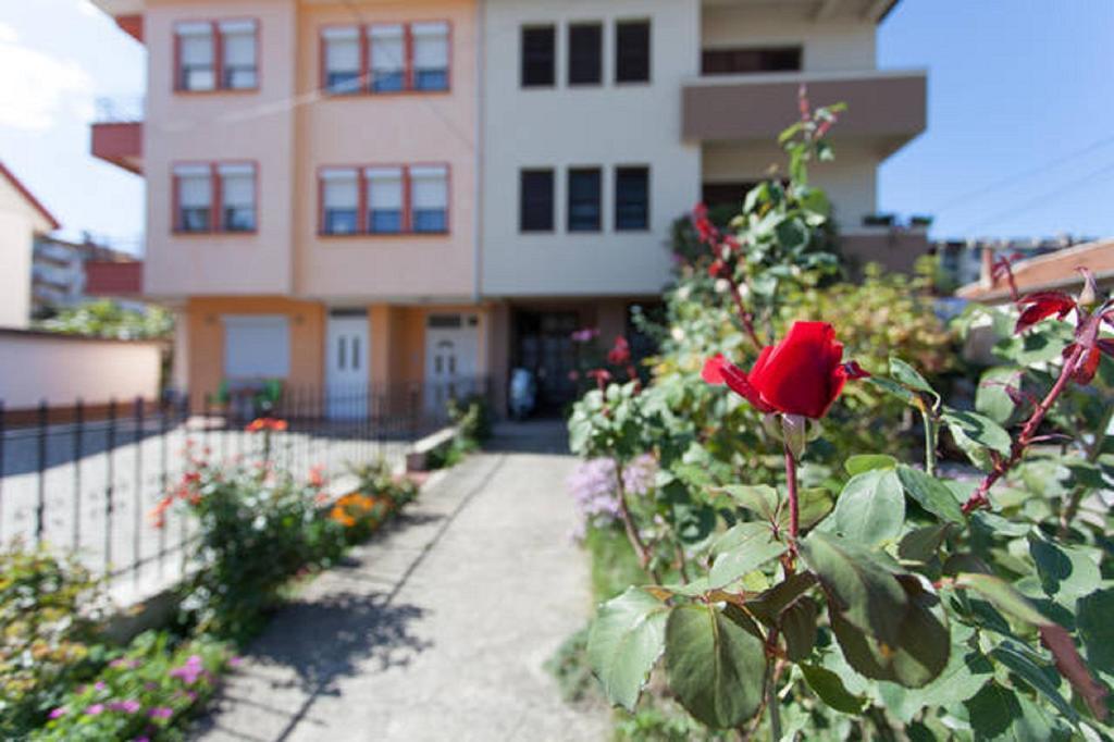 Angjeleski Apartments Ohrid Rum bild
